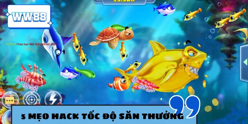 Học ngay 5 mẹo săn thưởng trong game bắn cá