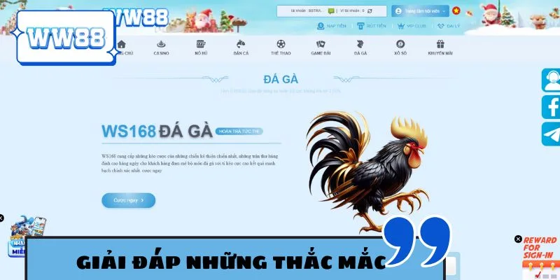 Giải đáp những thắc mắc thường gặp khi đăng ký WW88