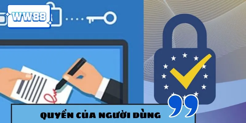 Nắm rõ quyền lợi của người dùng chính thức